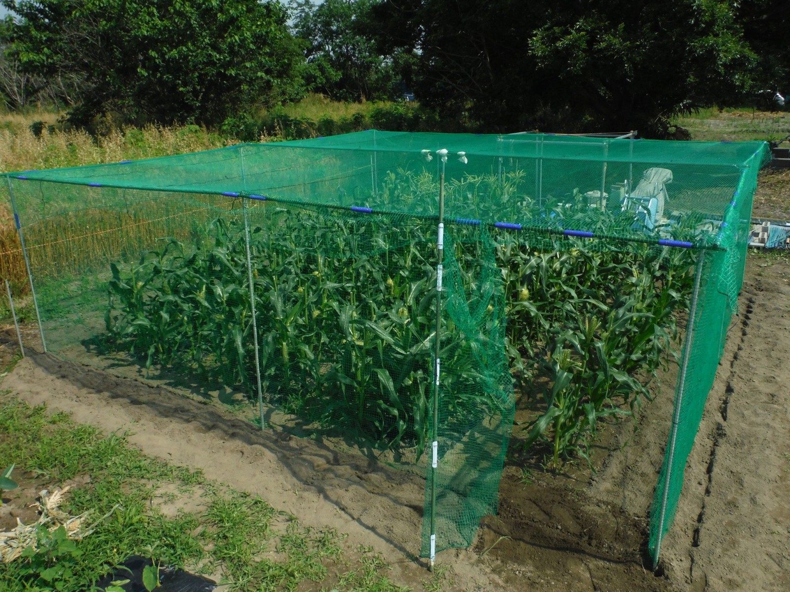 園芸・農業用 ネット 株式会社ジャストタイム二十四