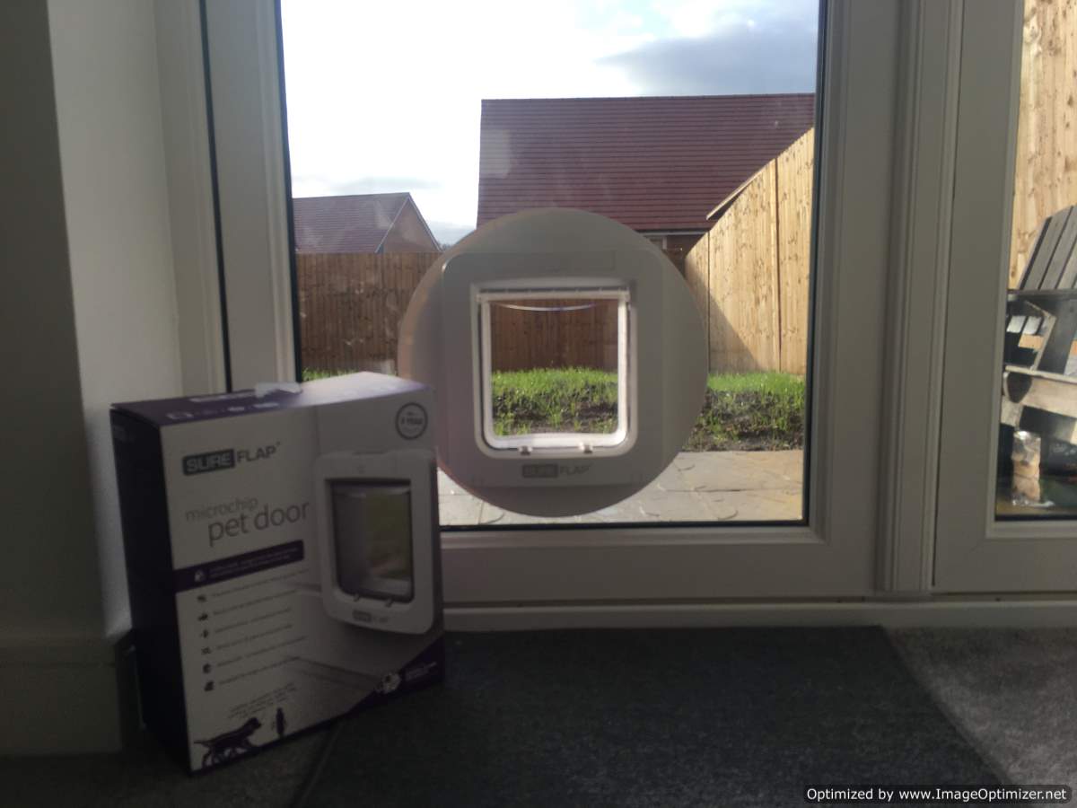 Glass cat flaps Just Cat Flaps