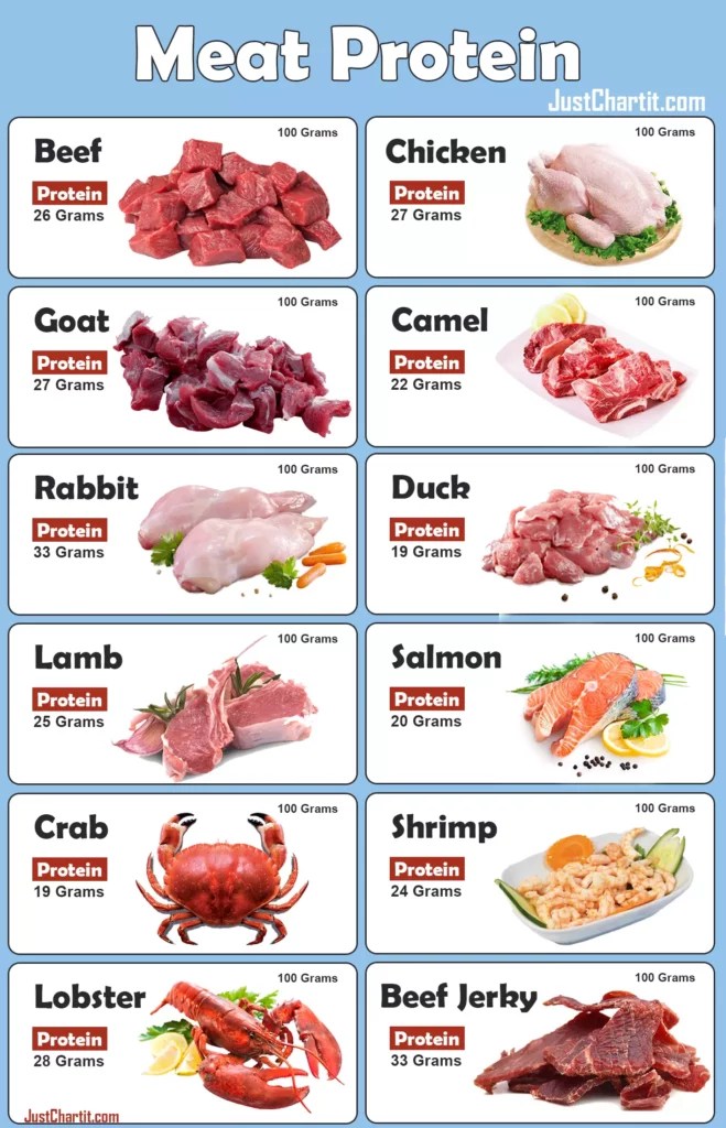 Meat Protein Chart Protein Percentage per 100g