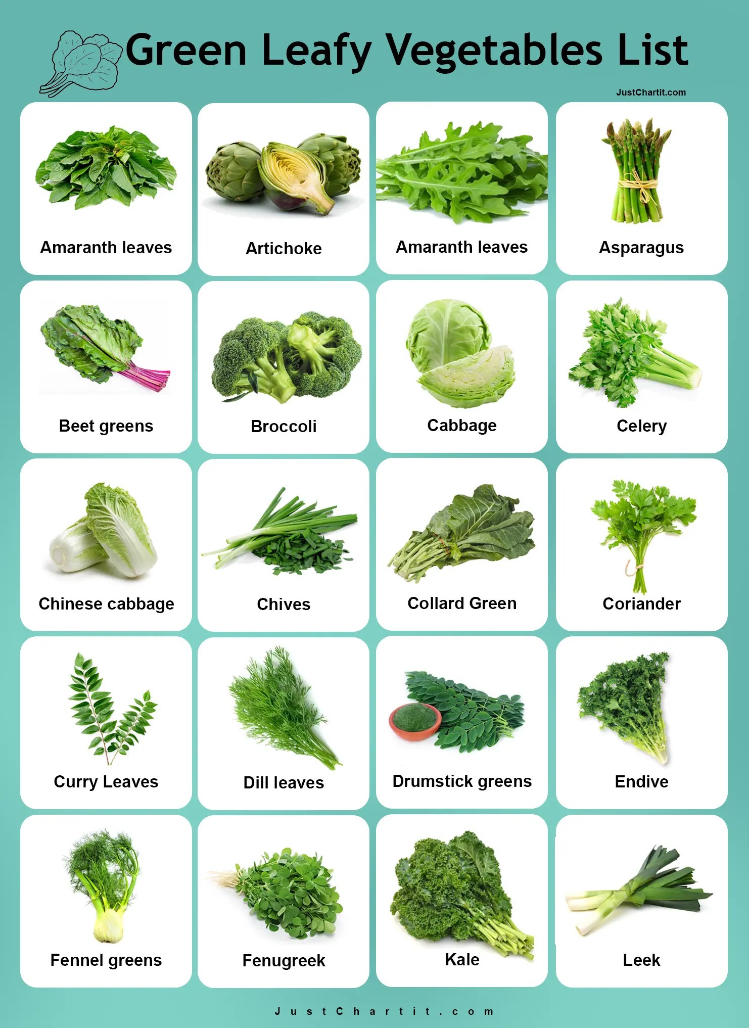 Leafy Vegetables Chart 🥬 A to Z Veggies Collection
