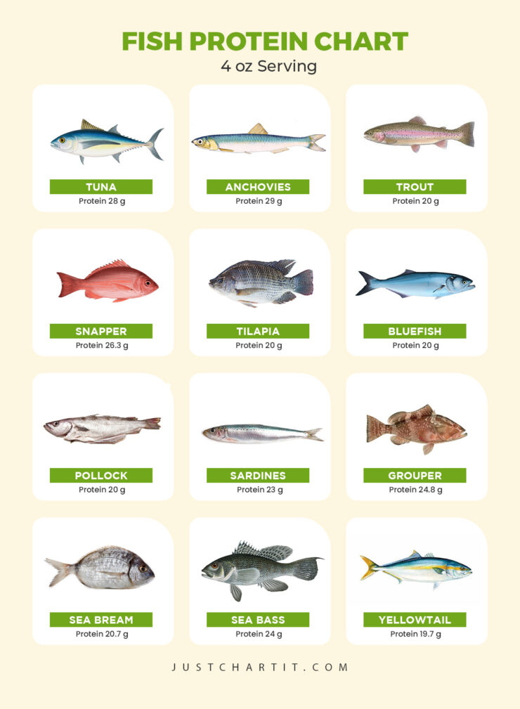 Fish Protein Chart Low and Hight Protein Fish List