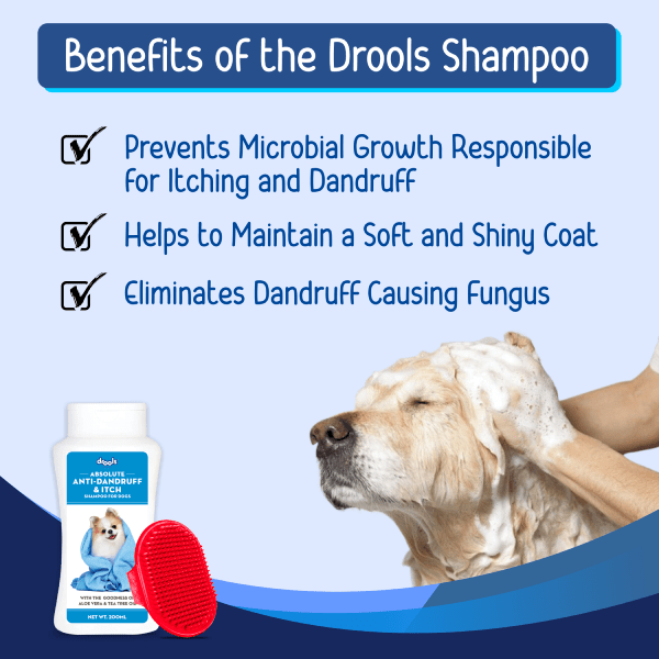 Drools AntiDandruff and Itch Shampoo for Dogs 200 ml +1 Free Bathing