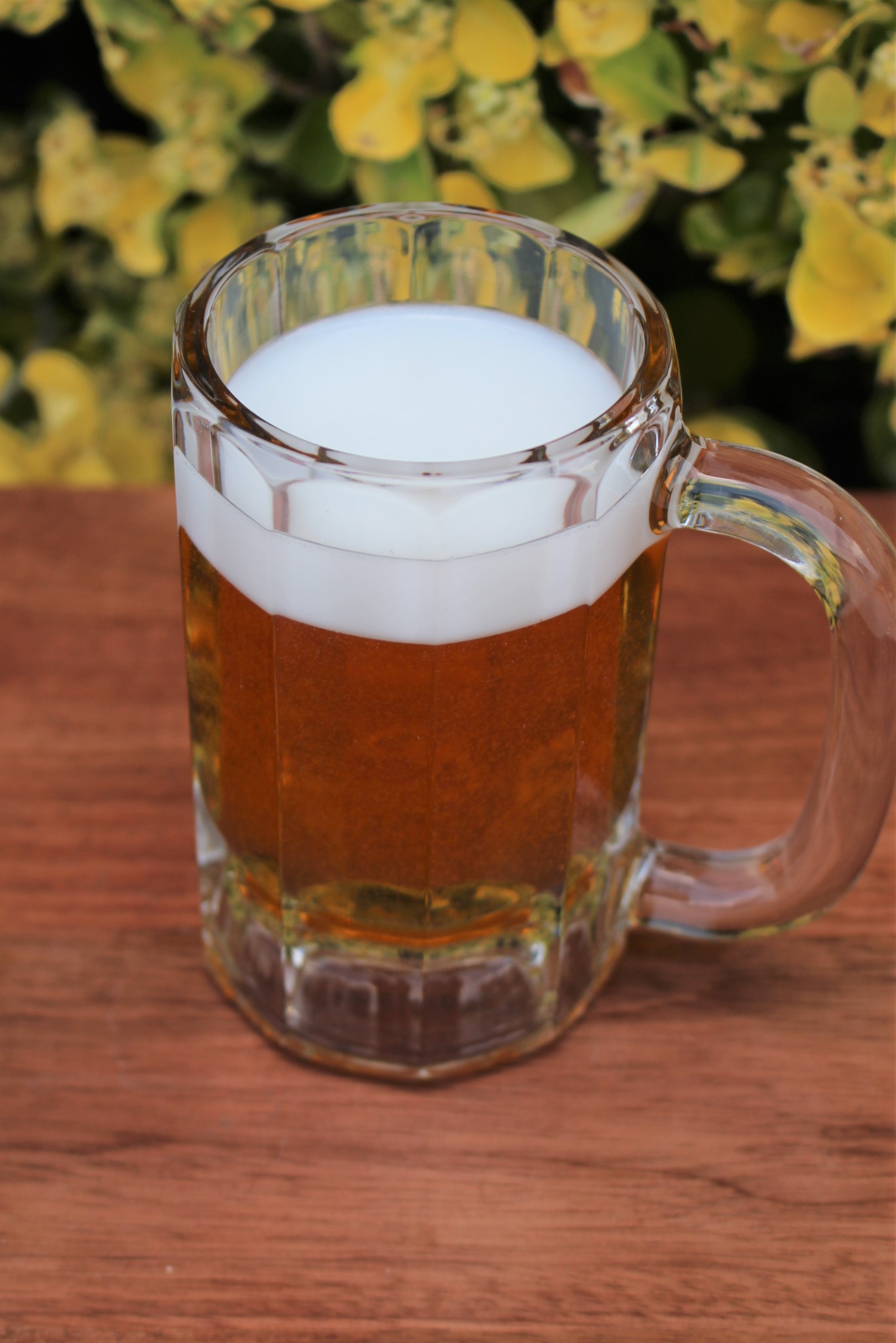 Beer Mug Just Dough It!