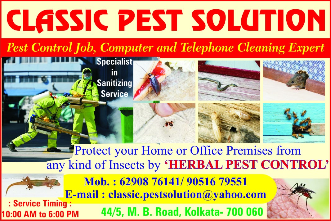 Classic Pest Solution In Kolkata, Pest Control in Behala