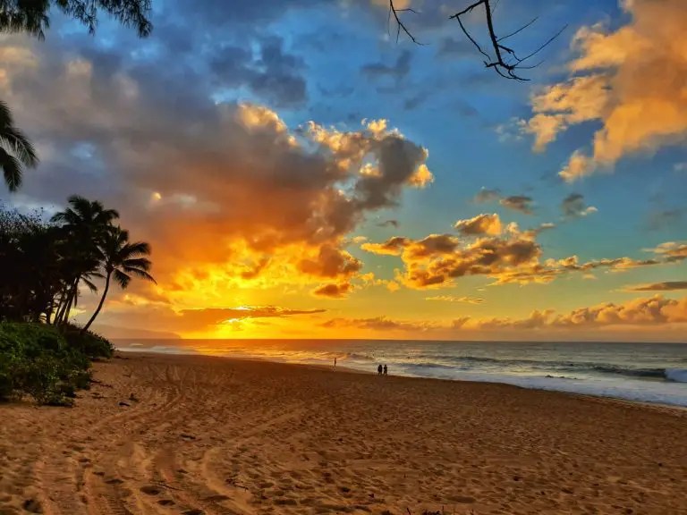 The Best Places To Travel in February in USA (+ the Americas) for