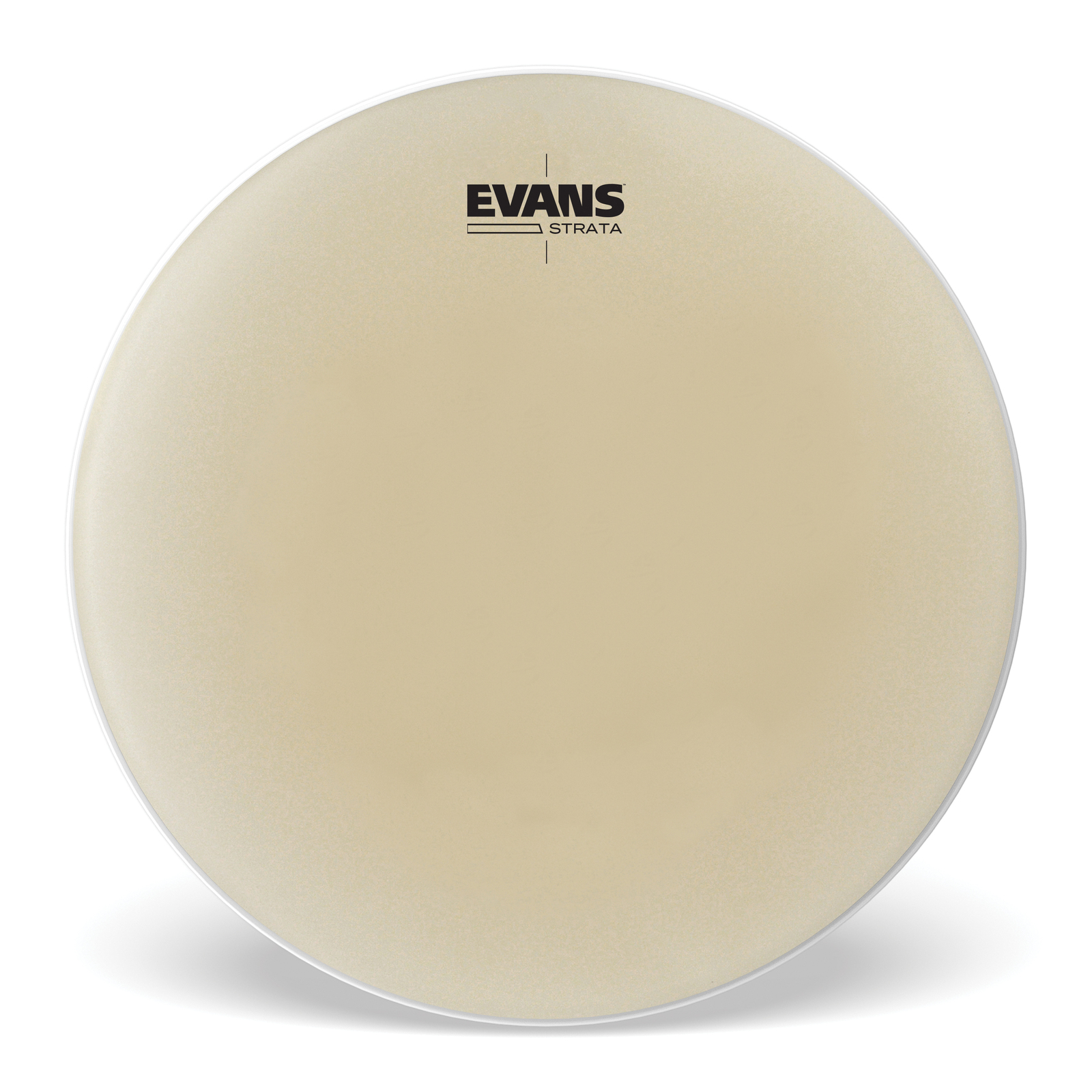 Evans Strata 34" Timpani Head Strata