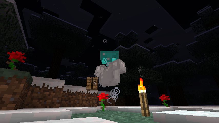 Minecraft invis Just Push Start