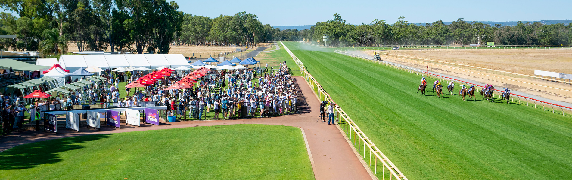 Pinjarra Horse Racing Tips & Best Bets, Magic Millions WA Classic day