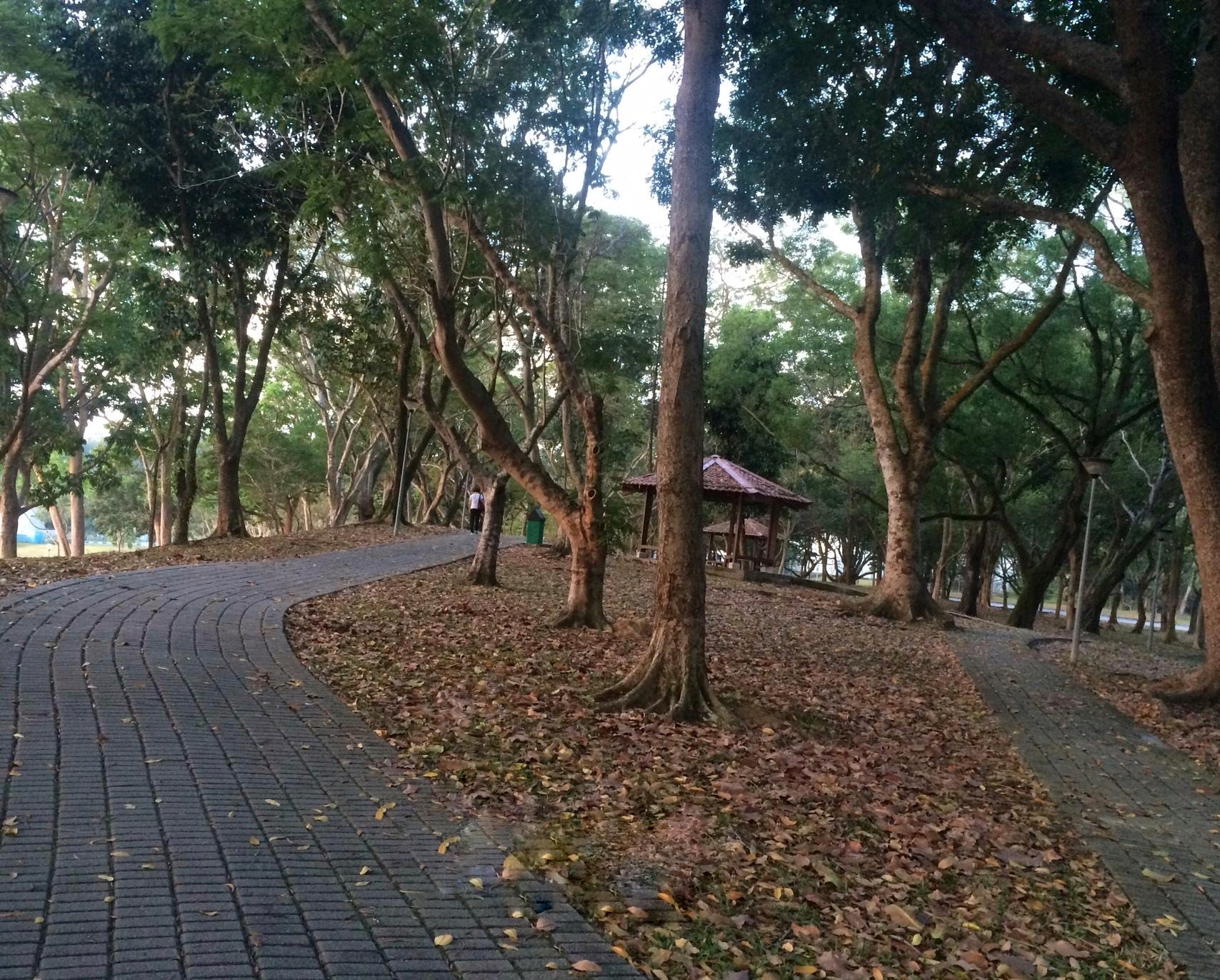 Bedok Reservoir Just Run Lah!