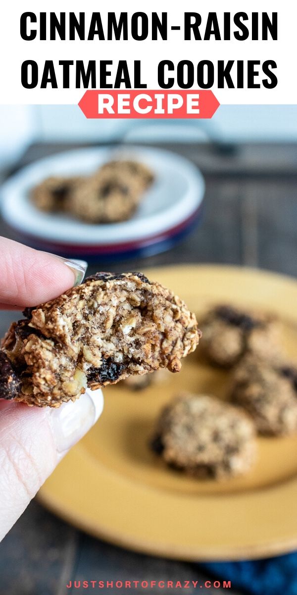 CinnamonRaisin Oatmeal Cookie Recipe A New Family Favorite Just