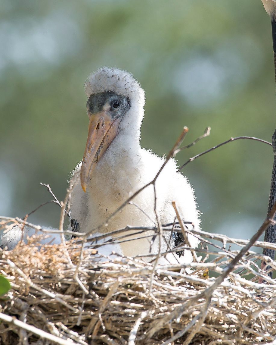 4 Places To Enjoy The Outdoors In Kingsland, GA