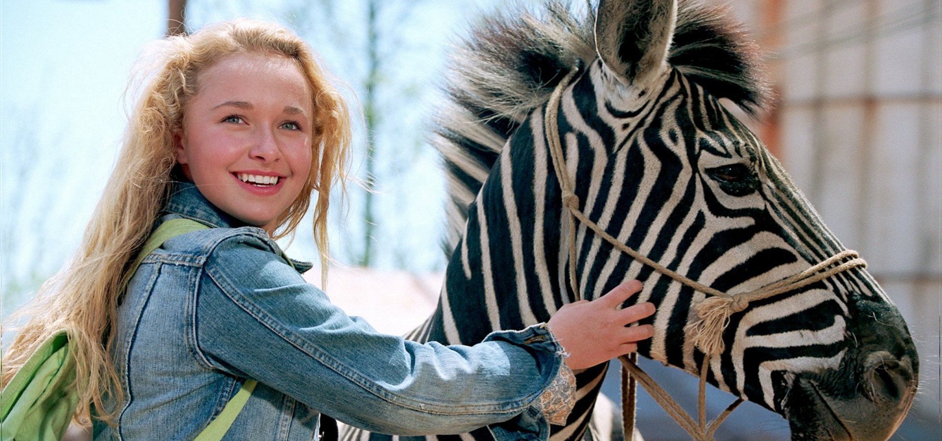 Où regarder ZigZag en streaming complet et légal