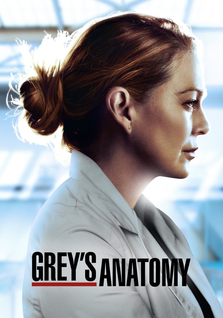 Saison 17 Grey's Anatomy streaming où regarder les épisodes?