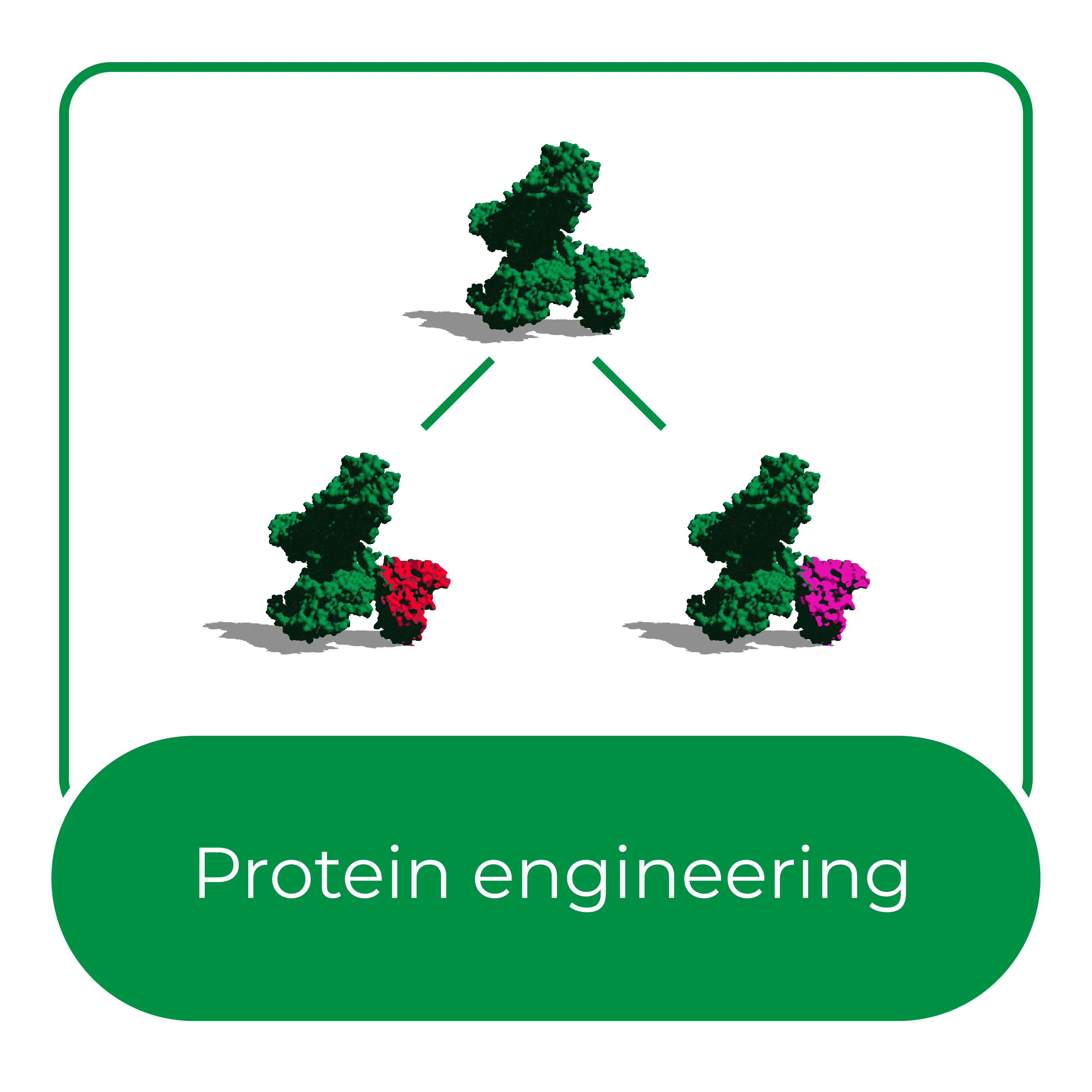 Platform Juvena Therapeutics