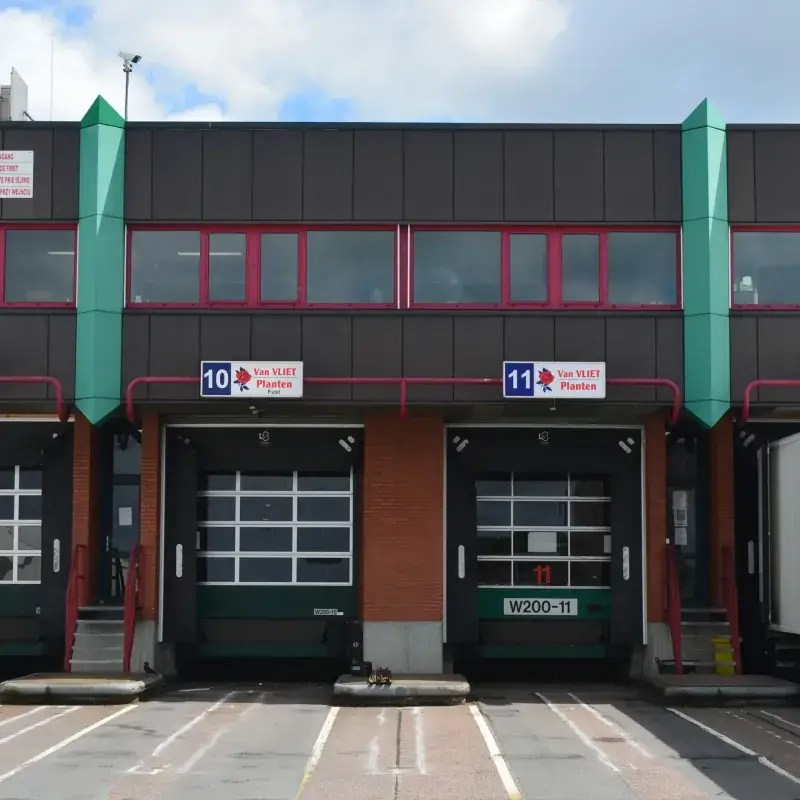 Van VLIET Potplants B.V. Van VLIET Flower Group