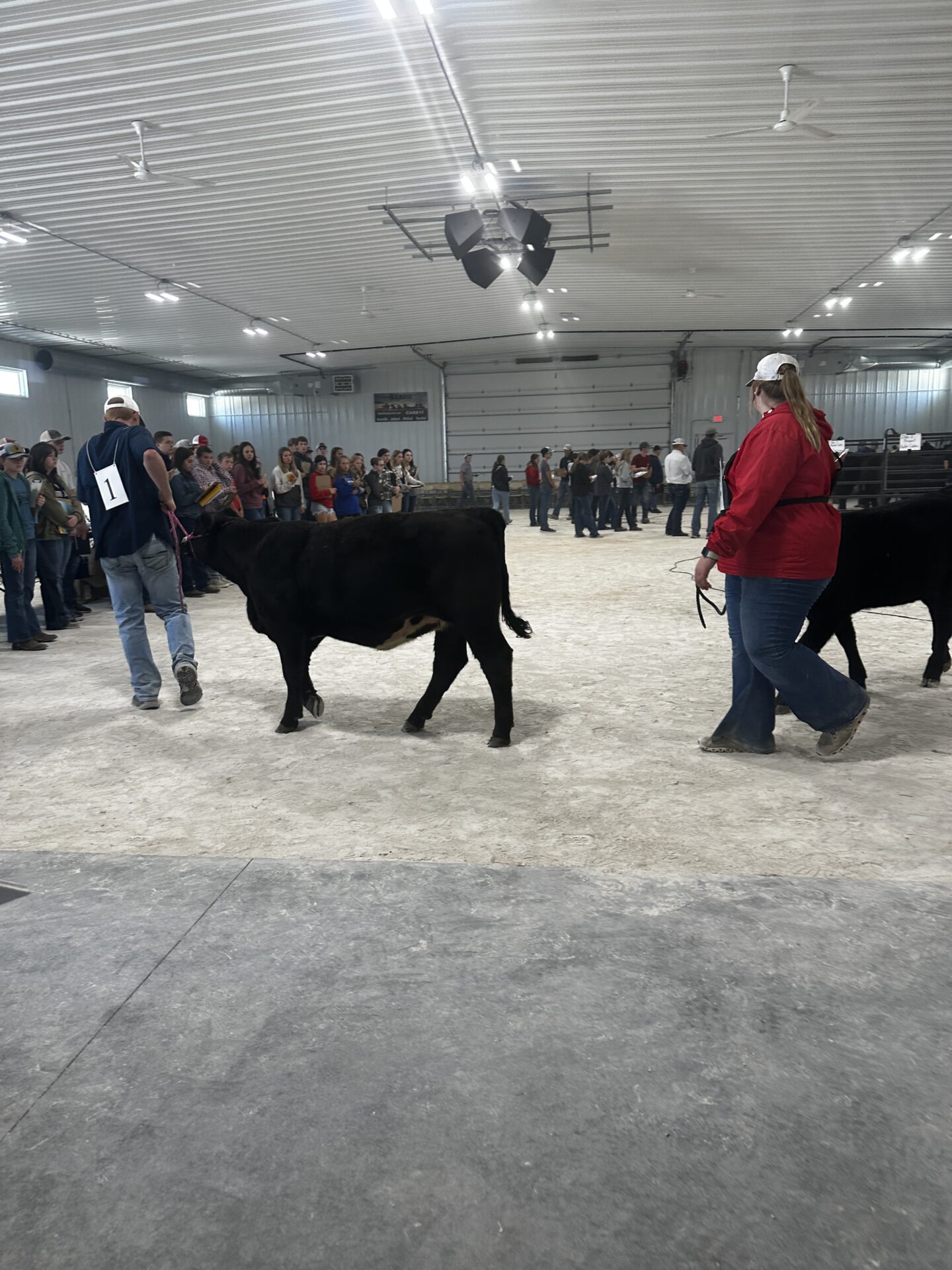 JWCC Announces Winners of Livestock Judging Contest JWCC