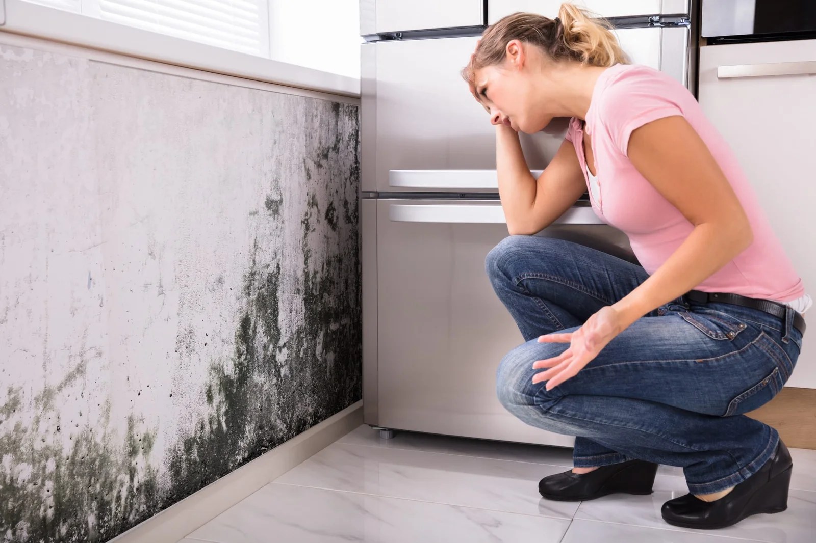 Is Mold Safe to be Around? JW Home Care