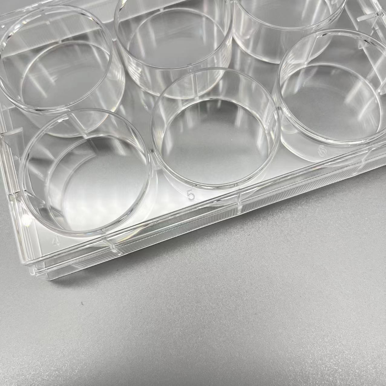 6 Well Cell Culture Plate, Surface Tissue Culture JYBIO