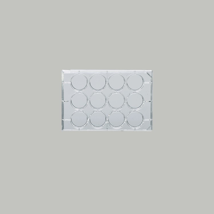12 Well Cell Culture Plate, Surface Tissue Culture JYBIO