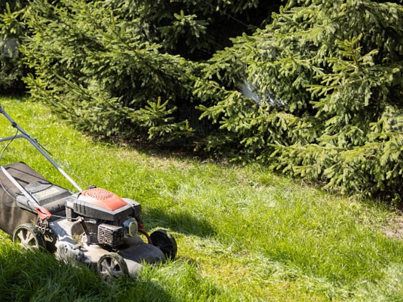 Understanding Lawn Mower Batteries Types and Usage JYC BATTERY SDN. BHD.