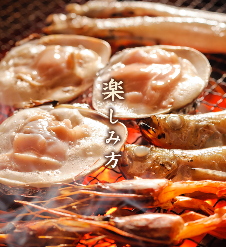 富山市で一人飲み、出張・観光に魚料理・地酒を堪能