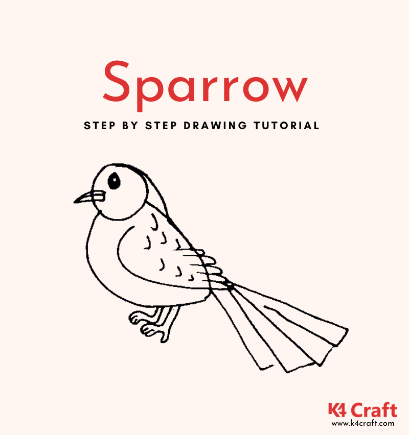 SparrowStepbyStepDrawingTutorialsFeatured • K4 Craft