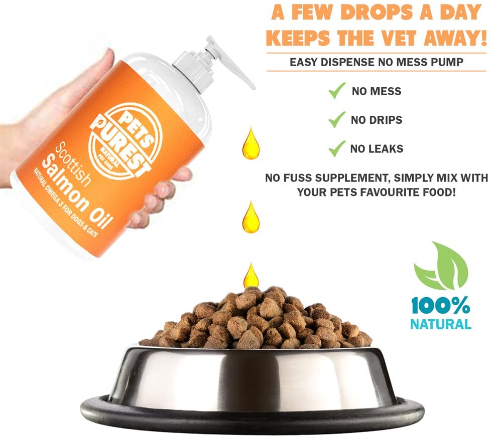 Best Fish Oil For Dogs (Guide Updated October 2024)