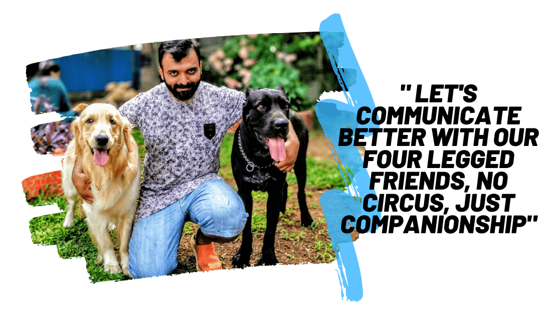 k9nick Dog Boarding And Training Resort