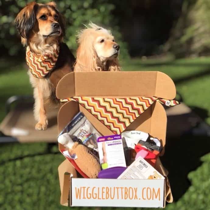 12 Best Dog Subscription Boxes [2020 Update] Boxes For Your Fur Baby!