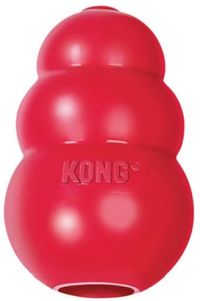 Kong Size Chart: How to Choose the Best Kong!