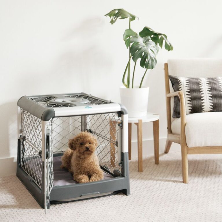 7 Coolest Dog Crates [2024 Reviews] Ditch the Wire!