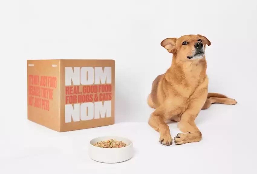 9 Best Dog Foods for Dogs With Gas [2023 Reviews] Fezeg Amazon Review