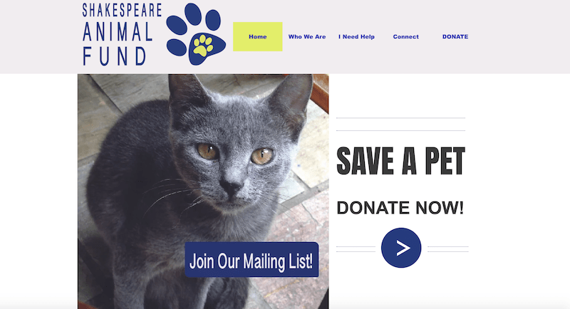 21 Organizations That Help Pay Vet Bills!