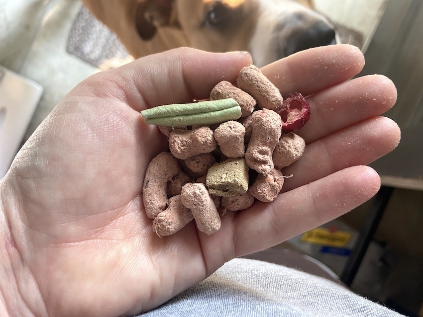 8 Best Fresh Dog Food Brands [2024 Reviews and Ratings]