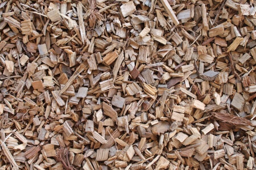 7 Best DogSafe Mulches (And 4 to AVOID)!
