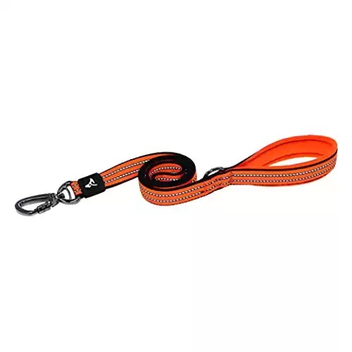 The 10 Best Heavy Duty Dog Leashes For Strong Pups Who Pull!