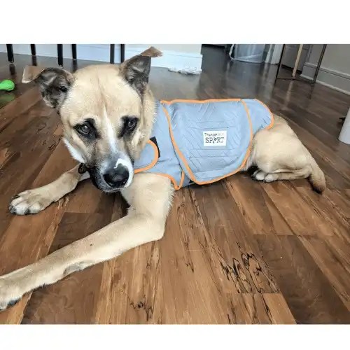 Do Thunder Coats For Dogs Work