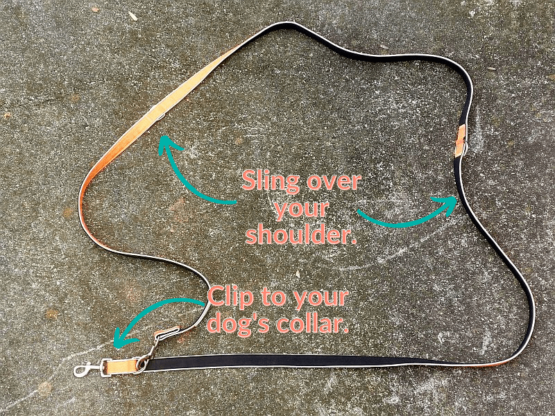 6 Best MultiFunction Dog Leashes [HandsOn 2024 Review]
