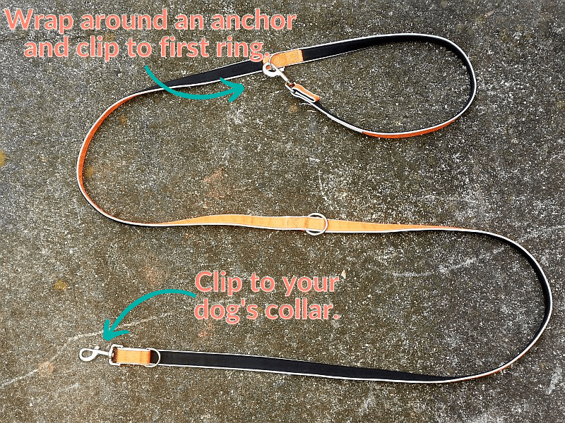 6 Best MultiFunction Dog Leashes [HandsOn 2023 Review]