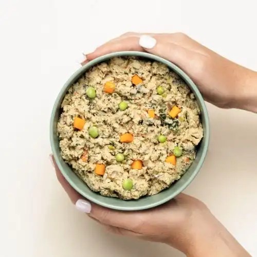 What Is Considered A Grain In Dog Food