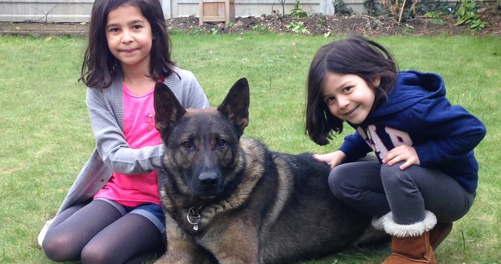 Are Children Safe with Elite Protection Dogs K9 Prote