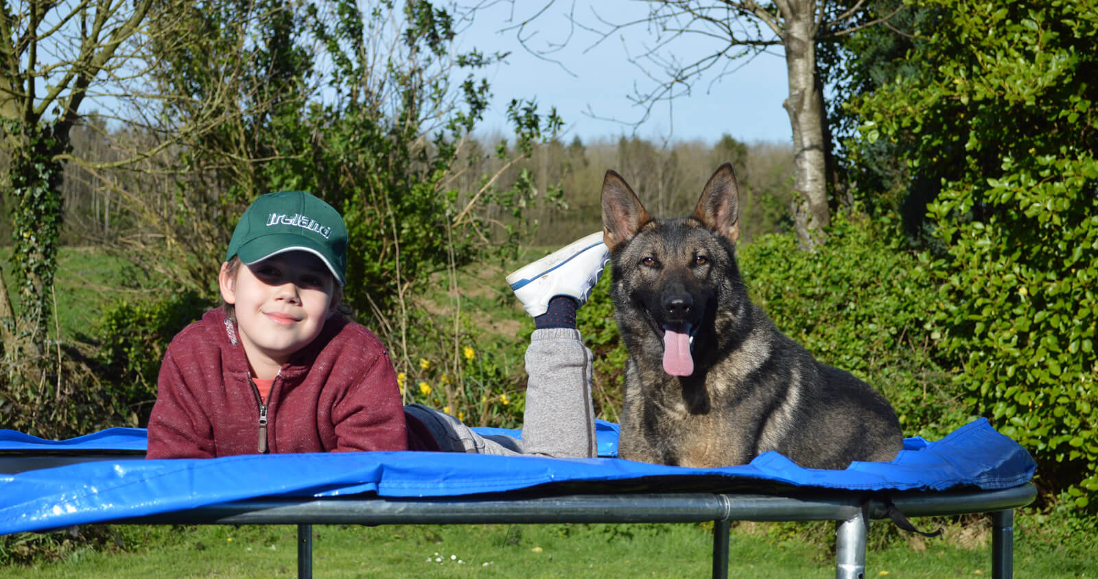 Life Protection Dog Trainers and Family Defence Dogs, UK