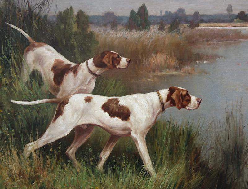 Pointer (English Pointer) Breed Information and Images K9RL