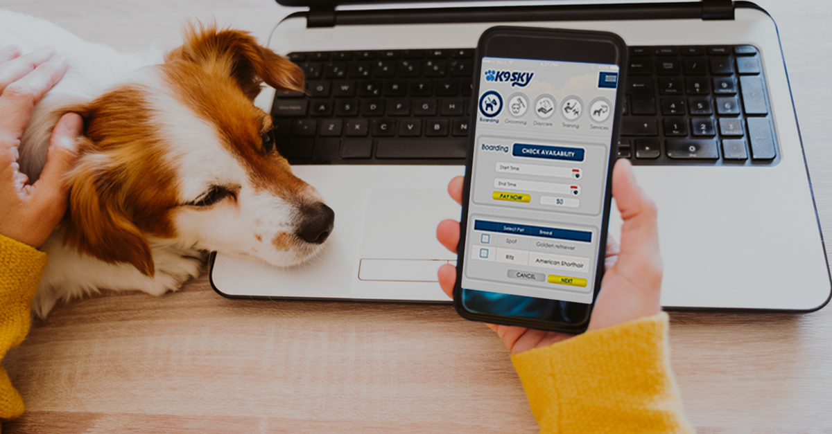 A Vital Tool to a Successful Dog Grooming Business Startup