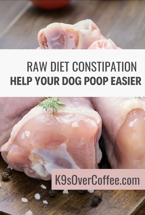 How To Help A Dog With Constipation Vegetables