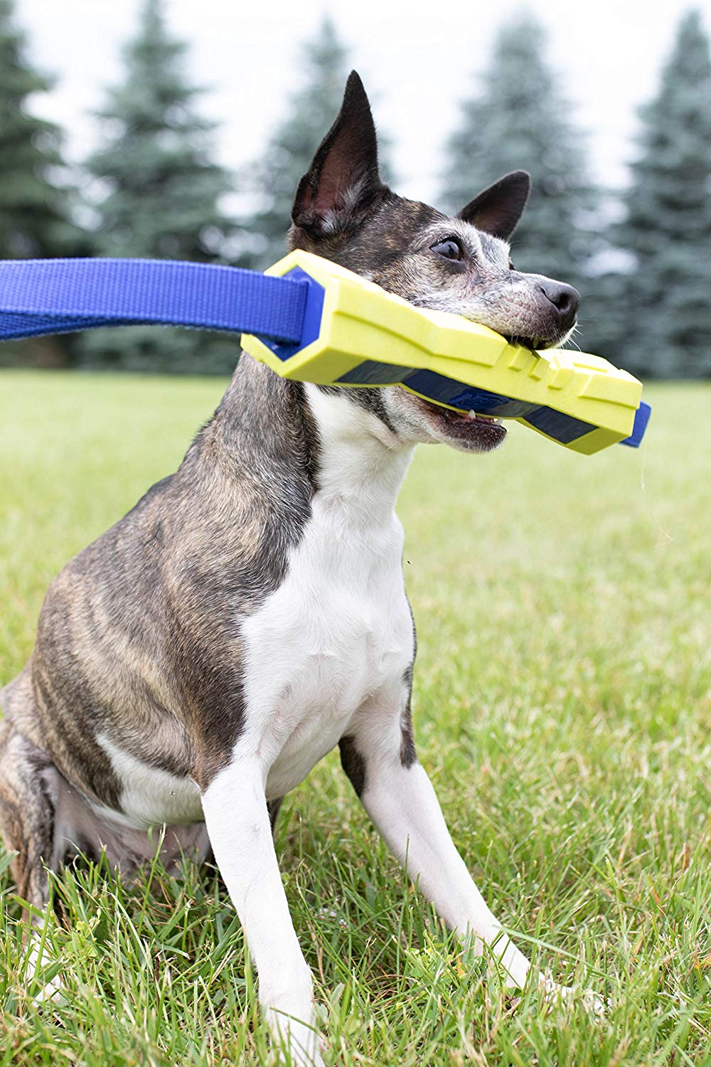 Nerf Dog 10.5″ TPR Floating Competition Bumper, Toy, Official NADD Air