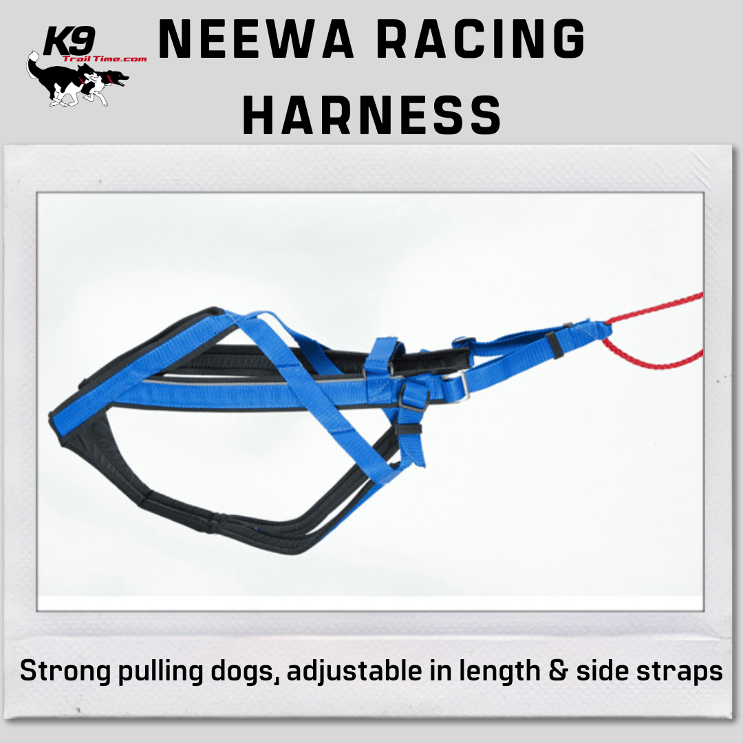 Neewa Adjustable Racing Harness K9 Trail Time Leading Canine