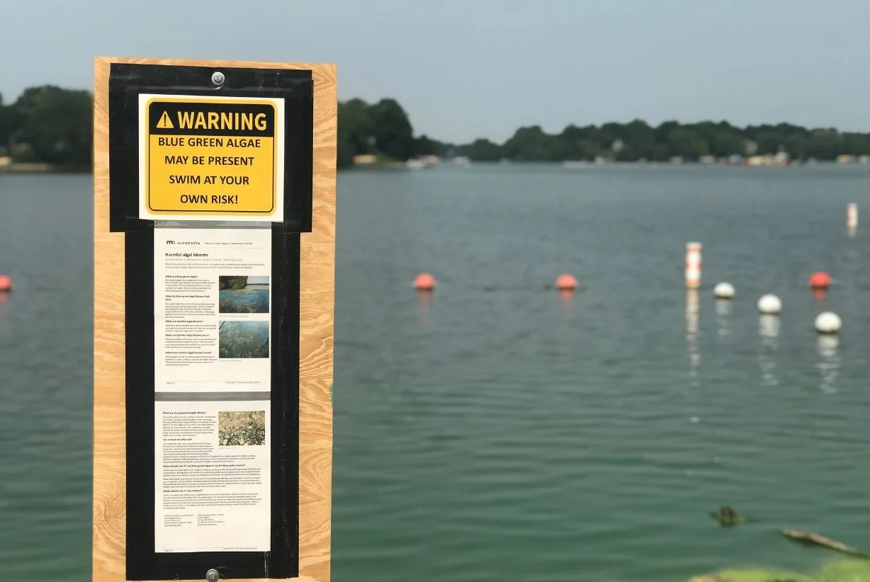 Albert Lea bans swimming in Fountain Lake due to harmful algae, 'Albert