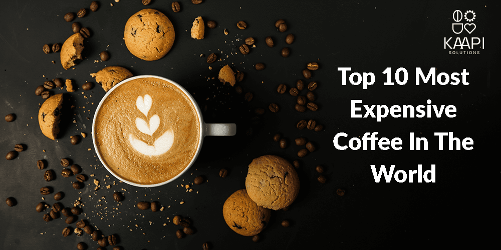 Top 10 Most Expensive Coffee In The World KAAPI SOLUTIONS INDIA OPC