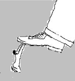 چه كساني لايق جمهوري هستند؟ - [كارگاه‌هاي آموزش دستورنامه رابرت (كادرها) ]